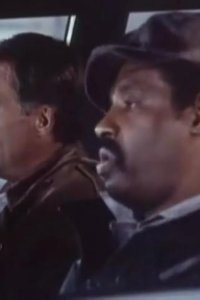 Hill Street Blues – S07E15 – Norman Conquest