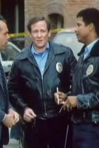 Hill Street Blues – S07E22 – It Ain’t Over Till It’s Over