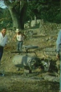 Falcon Crest – S01E03 – The Tangled Vines