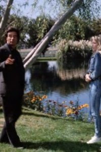 Dynasty – S09E02 – A Touch of Sable