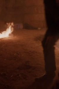 Dynasty – S09E11 – Tankers, Cadavers to Chance