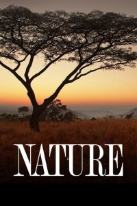Nature – S01E04 – Amate: The Great Fig Tree