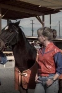 Hardcastle and McCormick – S01E15 – Whistler’s Pride