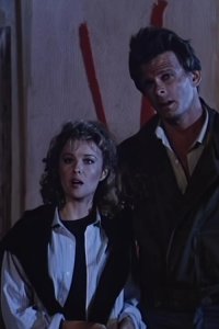 V – S1984E06 – Visitor’s Choice