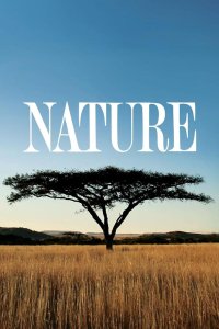 Nature – S44E03 – The Pigeon Hustle