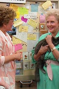 The Golden Girls – S01E25 – The Way We Met