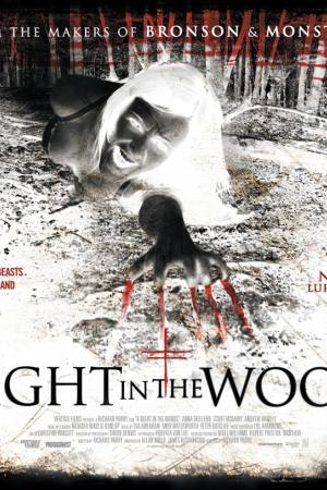 A Night in the Woods