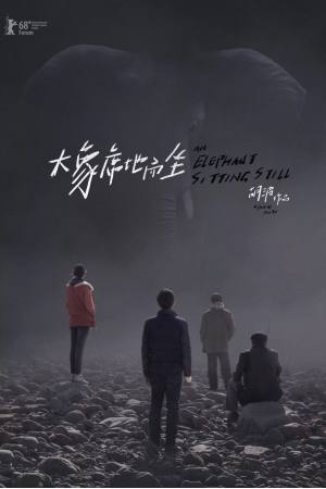 An Elephant Sitting Still