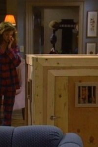 ALF – S01E19 – Wild Thing