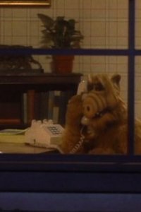 ALF – S01E21 – Lookin’ Through the Windows
