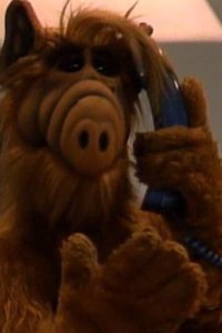 ALF – S01E25 – La Cuckaracha