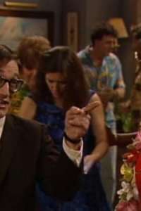 ALF – S04E13 – It’s My Party