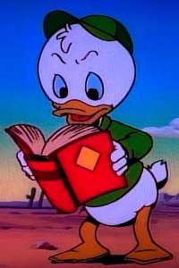 DuckTales – S01E02 – Treasure of the Golden Suns: Wronguay in Ronguay