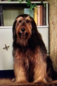 Married… with Children – S08E11 – Change for a Buck