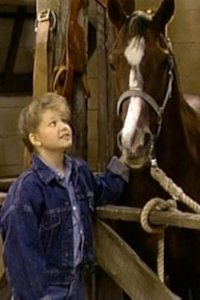 Full House – S02E04 – D.J.’s Very First Horse