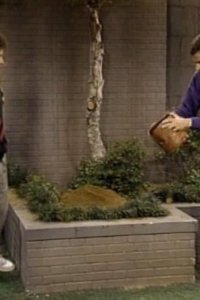 Full House – S02E15 – Pal Joey