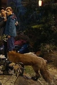 Full House – S04E12 – Danny in Charge