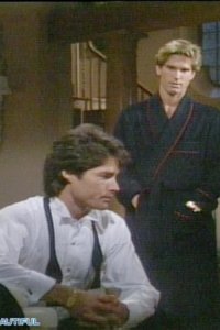 The Bold and the Beautiful – S1987E15 – Episode #1.15