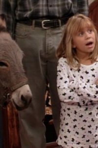 Full House – S08E06 – You Pet It, You Bought It
