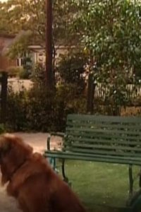 Empty Nest – S07E15 – Grandma, What Big Eyes You Have