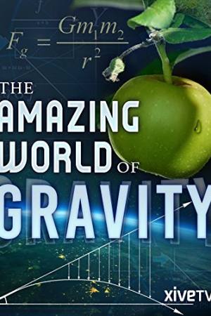Gravity and Me: The Force That Shapes Our Lives
