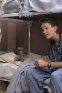 Doogie Howser, M.D. – S01E12 – Every Dog Has His Doogie