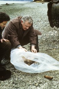 Twin Peaks – S01E01 – Northwest Passage