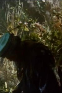 Swamp Thing – S01E05 – Spirit of the Swamp