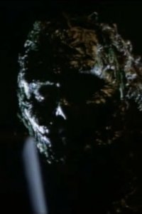 Swamp Thing – S01E17 – Walk a Mile in My Shoots