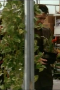 Swamp Thing – S01E19 – The Hunt