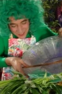 Beakman’s World – S01E05 – Leaves, Beakmania & Paper