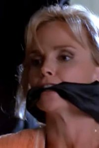 Renegade – S05E15 – SWM Seeks VCTM