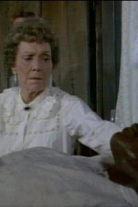 Dr. Quinn, Medicine Woman – S01E02 – The Visitor