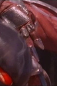 Mighty Morphin Power Rangers – S01E71 – Welcome to Venus Island