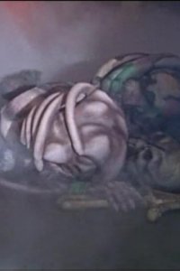 Mighty Morphin Power Rangers – S03E04 – Ninja Quest: Part I