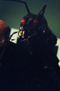 The X-Files – S05E19 – Folie a Deux