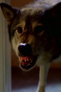The X-Files – S06E16 – Alpha