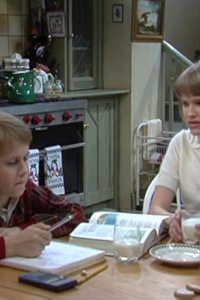 The Nanny – S01E19 – The Gym Teacher