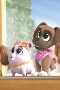 Puppy Dog Pals – S05E01 – New Pals on the Block/Aunt and Uncle Day