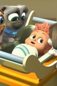 Puppy Dog Pals – S05E20 – Baby Crib Caper/Here’s Looking at You, Kid