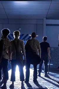 The Walking Dead – S01E05 – Wildfire