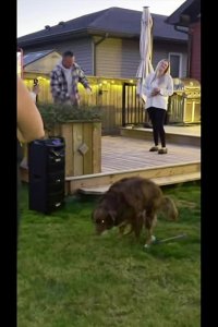 Ridiculousness Season 30 Episode 14