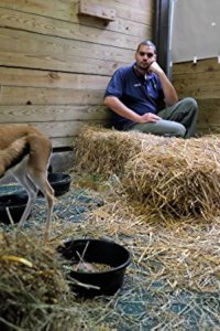 The Zoo Season 1 Episode 2