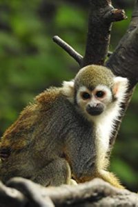 The Zoo Season 2 Episode 9