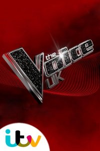 The Voice UK Season 3 Episode 2