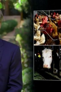 Real Time with Bill Maher Season 18 Episode 12