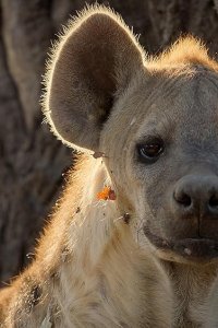 Kingdom Season 1 Episode 3