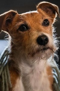 Call the Midwife Season 12 Episode 6