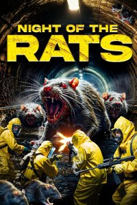Night of the Rats