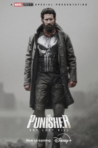 The Punisher: One Last Kill